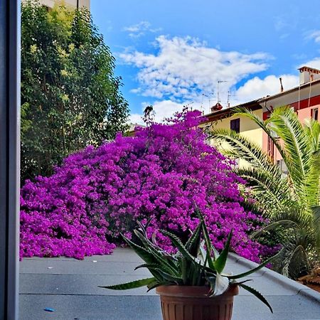 Ancora Qui, Nel Golfo Dei Poeti Lejlighed La Spezia Eksteriør billede